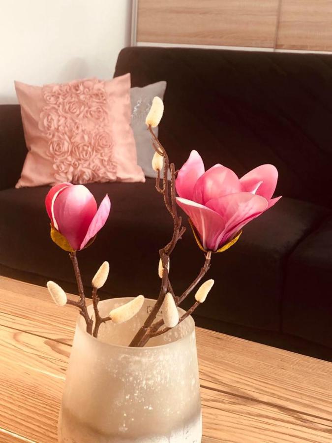 שצ'צ'ין Apartament Matejki II - Unique Apartments מראה חיצוני תמונה